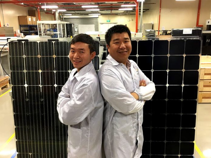 Bifacial-Solar-Module