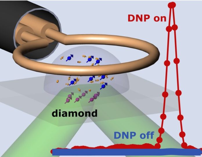 Um esquema experimental. A antena de loop de microondas próxima ao chip do sensor de diamante aciona as rotações eletrônicas NV (roxo) e TEMPOL (azul). Os sinais de RMN hiperpolarizados dos spins nucleares da amostra (laranja) são detectados pela leitura de fluorescência do conjunto NV do chip de diamante. Foto: Dominik B. Bucher.