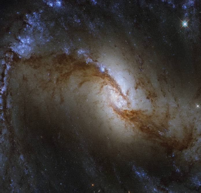 hubbleseessw