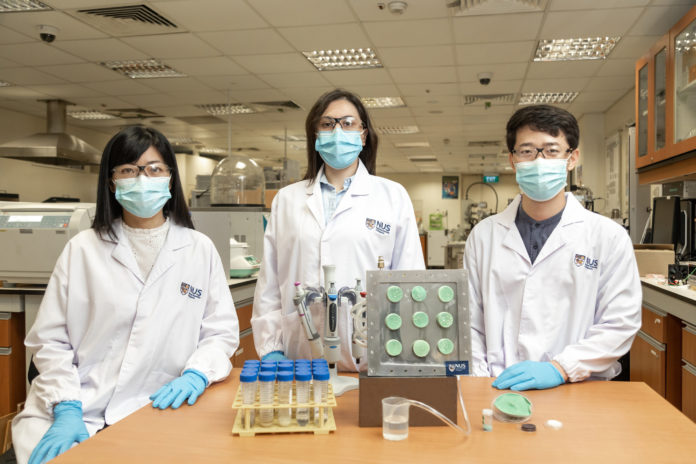 O aerogel produtor de água foi inventado por uma equipe de seis pesquisadores liderados pelo professor Ho Ghim Wei (à esquerda). Dois deles são o Dr. Gamze Yilmaz (centro) e o Dr. Fan Lu Meng (direita). Crédito: Universidade Nacional de Cingapura