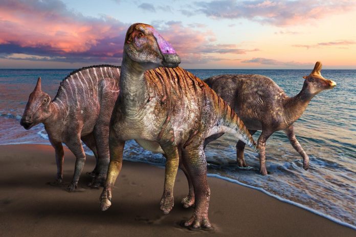 new-duckbilled-dinosau