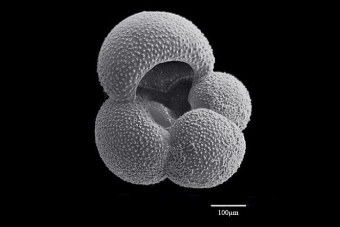 earths-history-sends-c