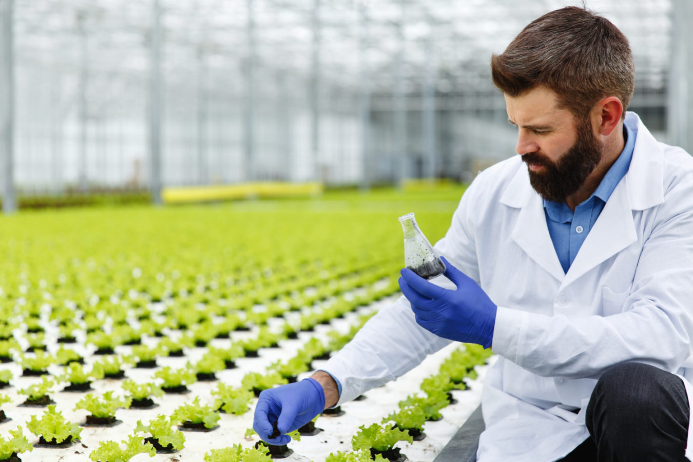 imagem mostra um homem de jaleco em uma estufa de plantas sobre um artigo sobre engenharia agronômica