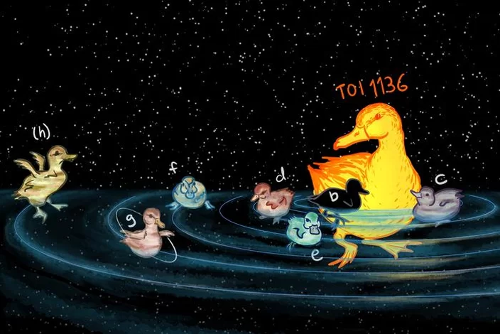 Imagem ilustra os 6 planetas orbitando a estrela peculiar em formas de patos, para um artigo que fala sobre a descoberta desses 6 exoplanetas