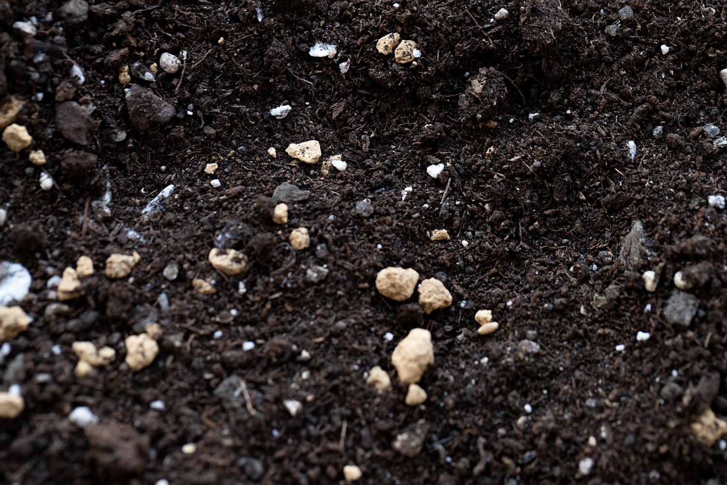 Imagem mostra solo para um artigo sobre o cultivo de grãos em solo lunar