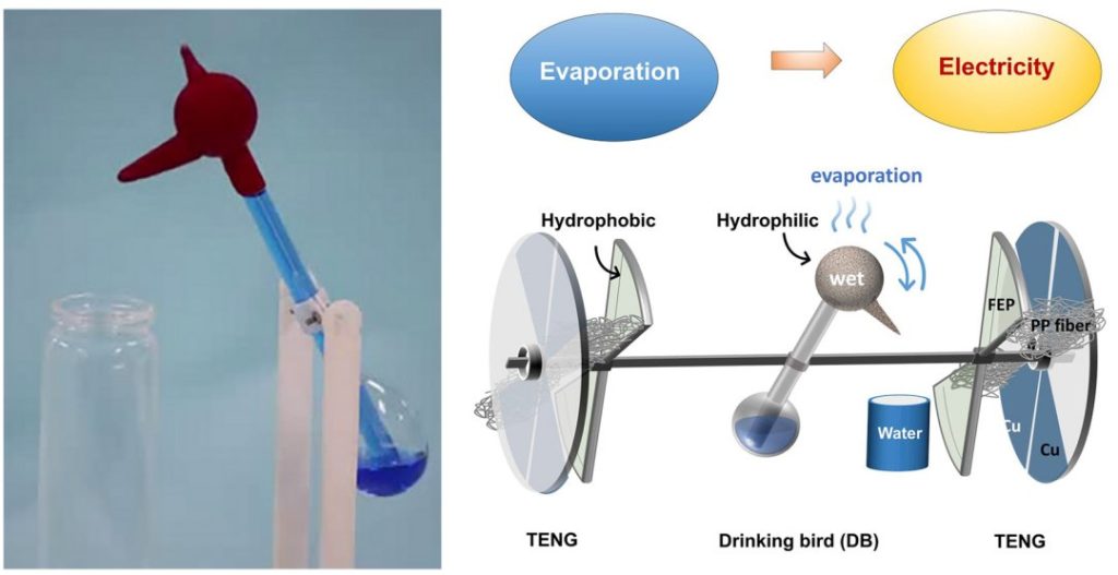 Imagem mostra experimento de energia com brinquedo "Passarinho que bebe água"