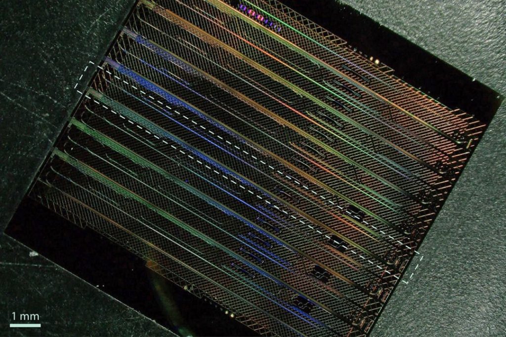 Uma imagem de microscópio que exibe um chip de niobato de lítio de película fina, contendo oito dos novos dispositivos "FM-OPO". Cada dispositivo ocupa aproximadamente 1×10 mm² (destacado aqui com um retângulo tracejado). (Imagem: Kevin Multani/Hubert Stokowski) régua de luz
