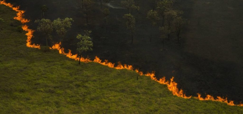 imagem de fogo no pantanal